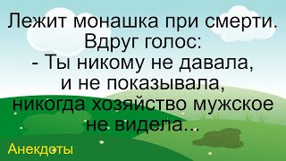 Монашка и ее хозяйство… Подборка смешных жизненных анекдотов Лучшие короткие анекдоты