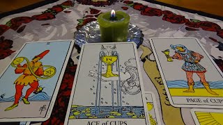 Pisces ~ June Reading ~ The Beginning of Great Love, Joy and Contentment