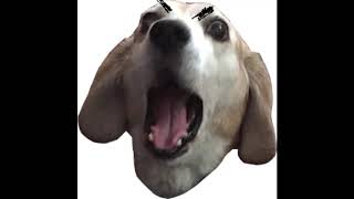 Crazy Dog (Attack Mode feat. RyuQuezacotl) [Remix]