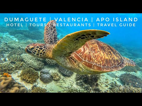 Dumaguete, Valencia, & Apo Island Tours | Travel Guide