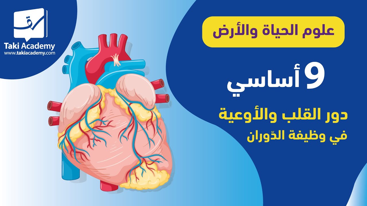 علوم الحياة و الأرض | 9 أساسي | معادلات التفاعلات الكيميائيّة 🧪