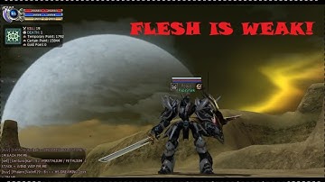 PapaShark (PlayPark RF Online)