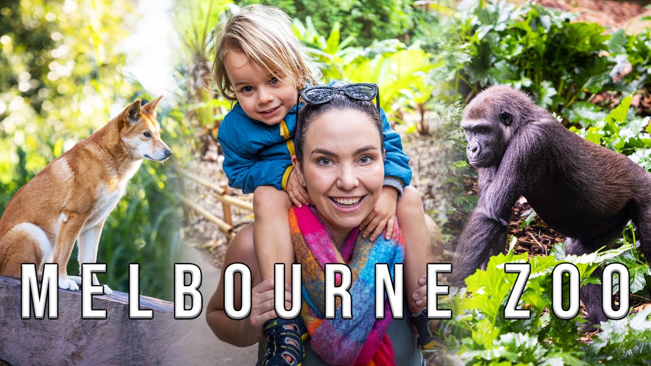 Melbourne ZOO trip with kids! Australia's OLDEST zoo! Great day out in Melbourne for families!