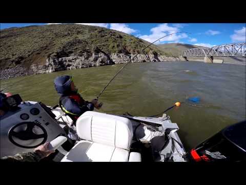 Video Catfishing in oregon