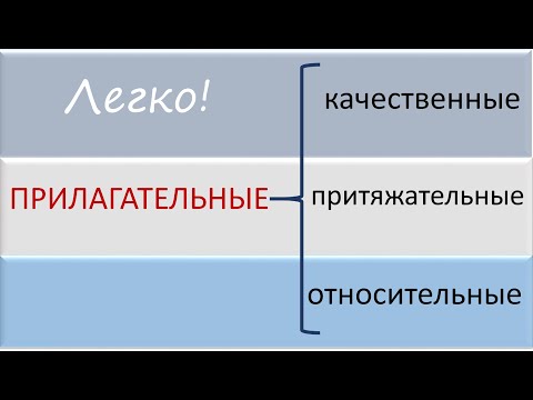 Русский язык. Разряды прилагательных: качественные, притяжательные, относительные. Видеоурок