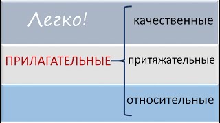 Русский язык. Разряды прилагательных: качественные, притяжательные, относительные. Видеоурок