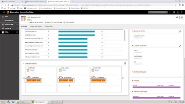 Viewing Profiling Results - EDC Data Profiling