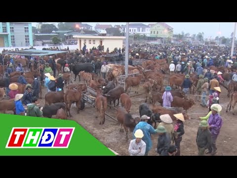 Video Chợ trâu bò lớn nhất Đông Nam Á giao dịch Phiên cuối... - youtube