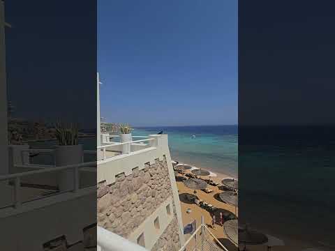     رييف اويسز بيتش