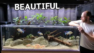 My SHOW-STOPPING Aquarium | DIY Acrylic Build by Riffwaters 3,926 views 4 months ago 7 minutes, 53 seconds