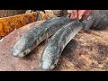 Kasimedu Fish Cutting Video/Fish Cutting Market