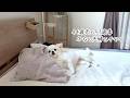 休日だけでも愛犬と丁寧な暮らしがしたい