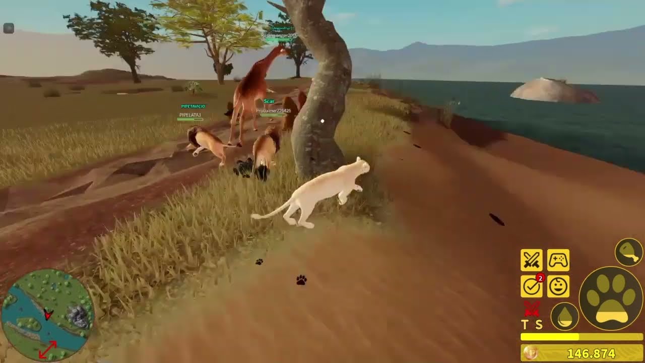 HUNTING LIONS as LION (PART 2) in savannah life roblox