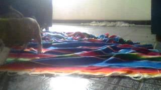 Capture 20111227 2