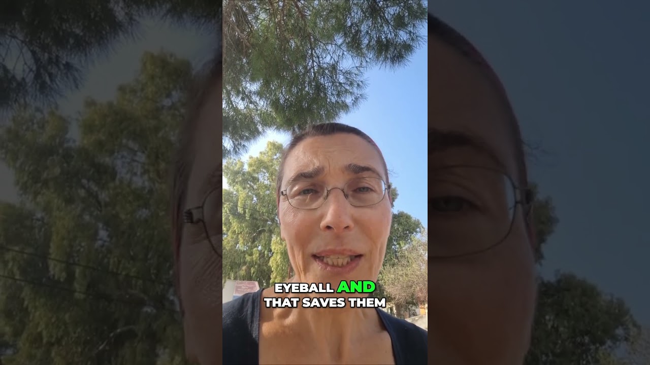 Help Save Kittens' Eyes: Donate Now! #shorts