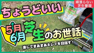 5月6月の芝生の手入れ 頑張らなくてもまあまあキレイを目指します【初心者】