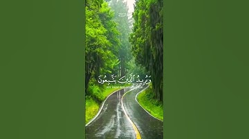 آيات تريح النفس |الشيخ ياسر الدوسري