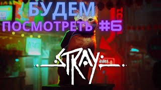 Stray - Милые котики, киберпанк и более ничего | Будем посмотреть #6