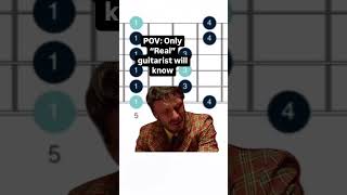 POV   Only real guitarists will understand this