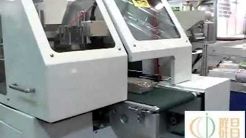 automatic horizontal packing machines with feeder for blister flow wrapper system