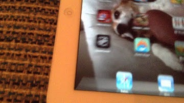 How to get flappy bird after it was removed