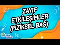 C7 - ZAYIF ETKİLEŞİMLER (FİZİKSEL BAĞ)