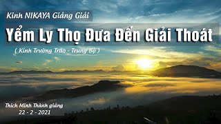 Kinh NIKAYA Giảng Giải - Yểm Ly Thọ Đưa Đến Giải Thoát - Kinh Trường Trảo - Trung Bộ