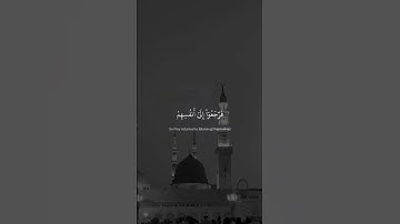 سورة الأنبياء |  الأية : 62 | القارئ : ياسر الدوسري