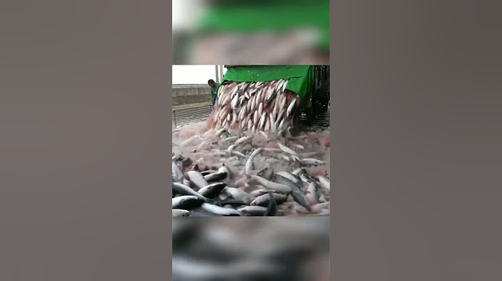 ЗАЧЕМ ТЫ СКРЫВАЛА ЭТО!? Неожиданный поворот.
