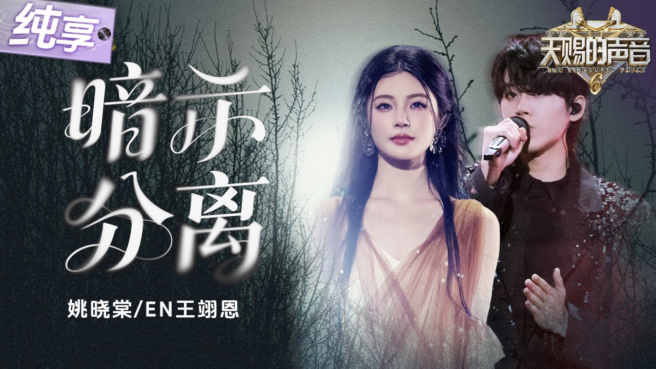 【纯享版】遗憾具象化!姚晓棠en王翊恩心碎对唱《暗示分离》 每一个音符都好似欲言又止的哽咽 将感情中隐忍的痛楚诠释到极致! #天赐的声音6 EP12 20250704