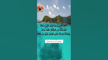 من سورة الروم الله الذي يرسل الرياح| الشيخ عادل أحمد شاهين #ترند