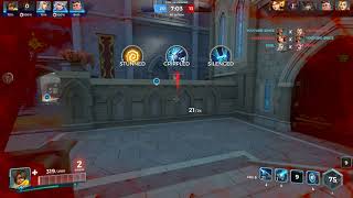Paladins Vora Bug