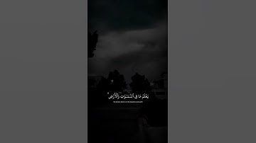 اكتب شي تؤجر عليه 🤍 | القارئ عبدالرحمن مسعد | قرآن كريم