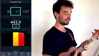 tune up ! tune your ukulele a step higher (in d)