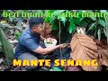 Ke rumah suku mante beri buah|suku mante senang!!!