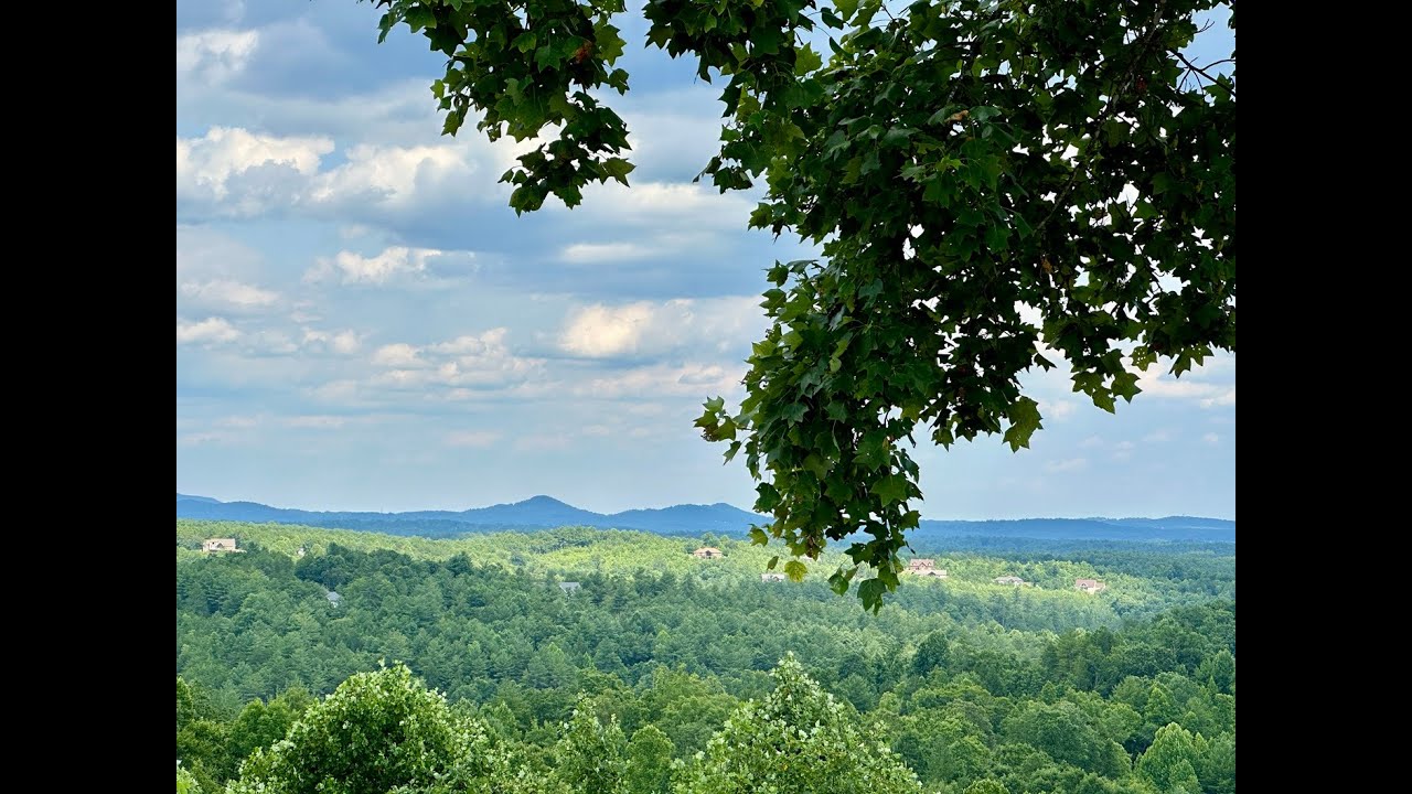 1387 River Club - The Coves - Nichole Sedberry - 704-325-9876