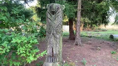 Fencing Chicken Run: Deer Fence or Poultry Netting