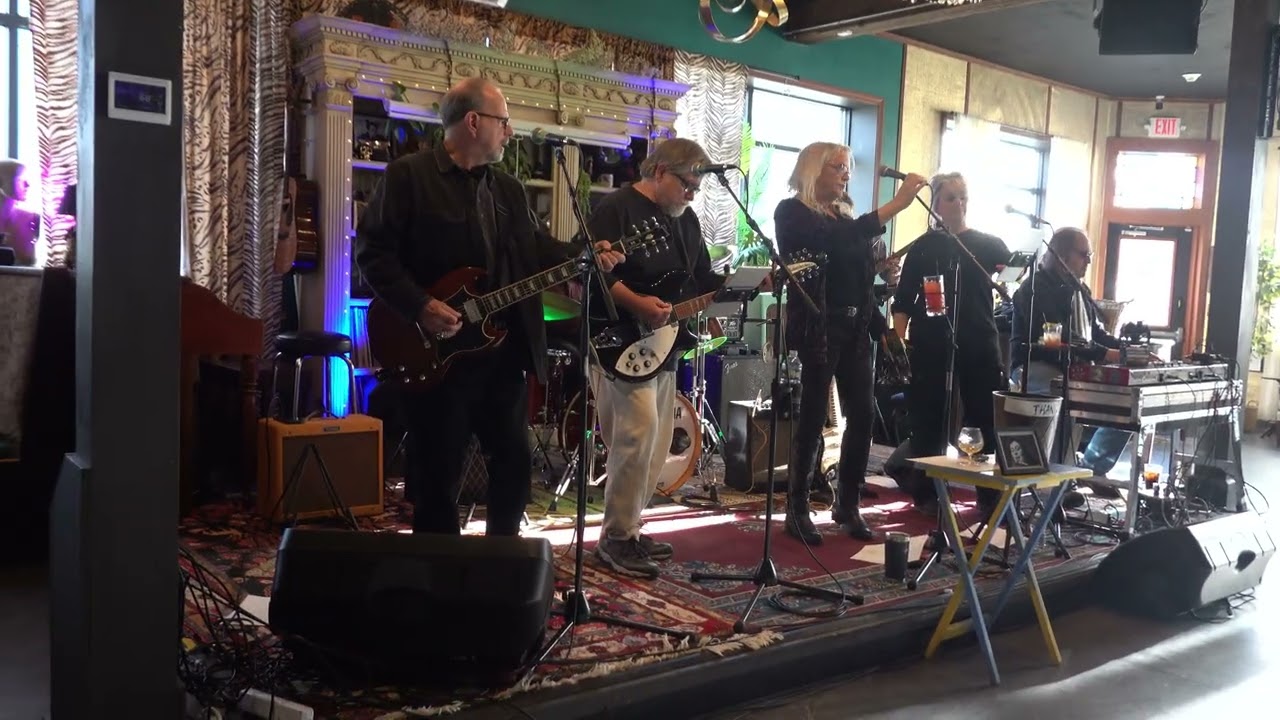 3 Legged Dog @ Myrtle 01/04/26 