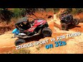 NEW ZFORCE SPORT vs RZR TURBO on 32s Hill Climbing & Crawling | Barnyard Mud Boggers