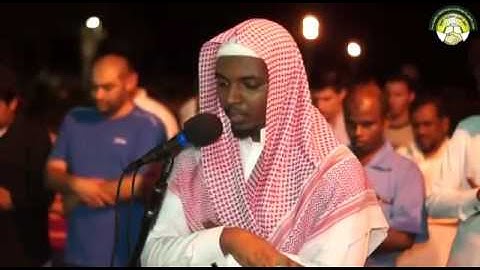 تلاوة بصوت القارئ / إبراهيم جبرتي.