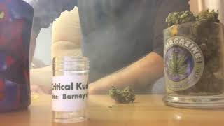Smoke Report: Critical Kush (Barney's Farm) w/Pigeons420