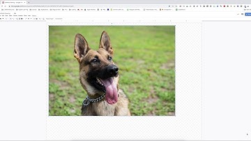 How to Insert Items in a Google Drawing