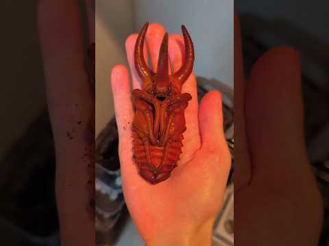 アトラス 卵 幼虫 サナギ 成虫 Shorts カブトムシ クワガタ