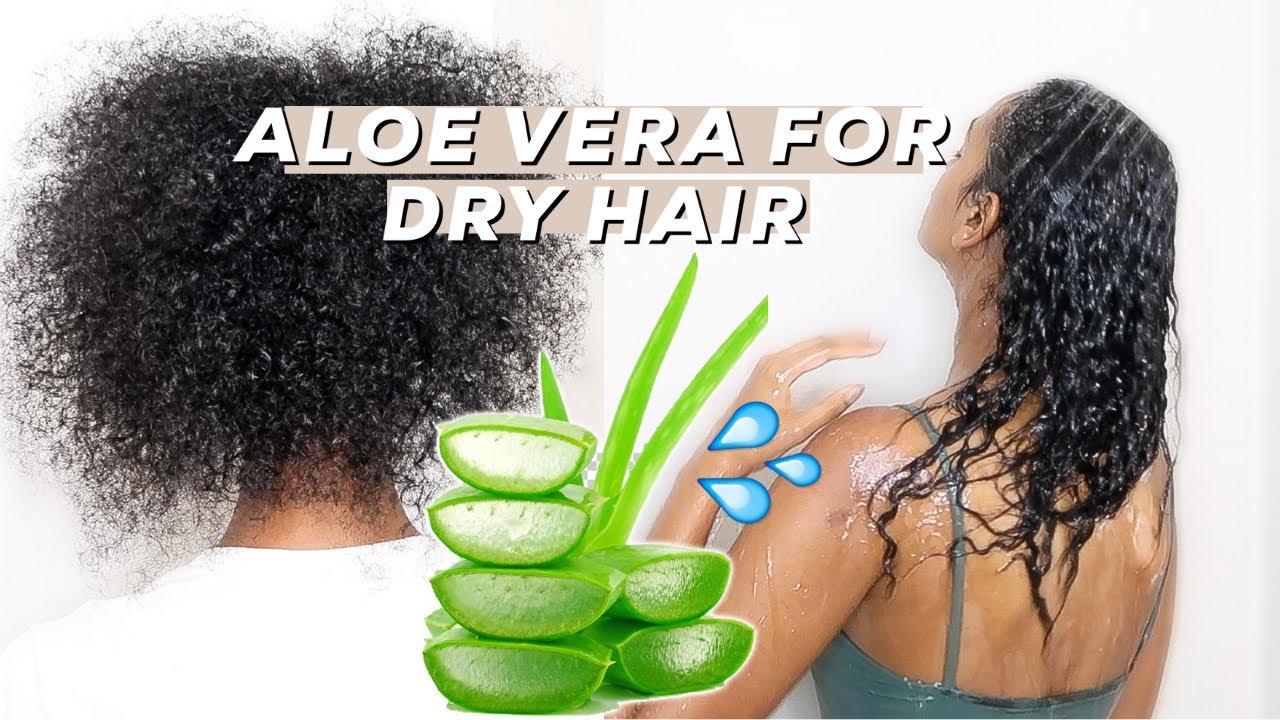 ALOE VERA FOR DRY HAIR *how to make aloe vera gel*💦 YouTube