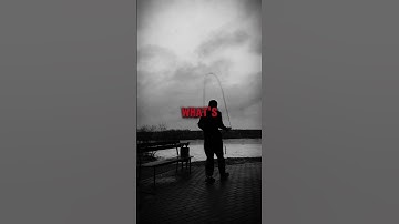 Progress is progress, no matter how small. Keep moving forward💪 #motivation #fitness