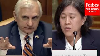 Jack Reed Asks Katherine Tai Point Blank: ‘What Are You Doing In The Task Force On Supply Chain?’