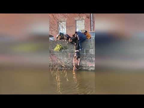 Incredible footage shows hero students lift dog from muddy canal in daring rescue operation