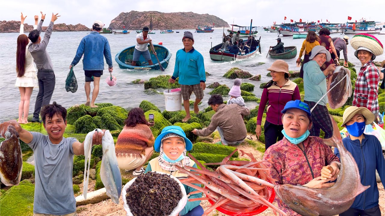 Nhơn Hải Quy Nhơn Mùa Rêu Xanh | Đi Chợ Đầm Gặp Cá Cam Câu