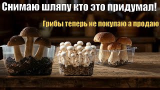 видео: СДЕЛАЙ ЭТО и грибы вырастут сами! Выращивание грибов дома картинка: СДЕЛАЙ ЭТО и грибы вырастут сами! Выращивание грибов дома