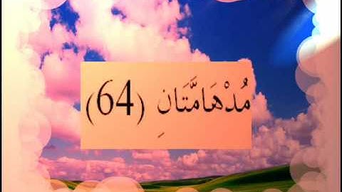 القران الكريم سورة الرحمان الأية  64.wmv